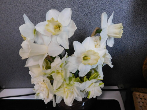 DSCN38264122eb3b5a3cfb03.jpg