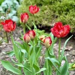 IMG_1597d54937779480bccb
