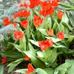 IMG_16377f2a7277c15dfa98