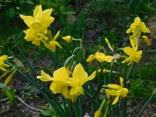 DSCN3976225c906f69046e24.jpg