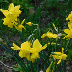 DSCN3976225c906f69046e24