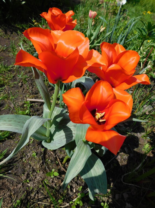 DSCN4108db0a2cf895c57d88.jpg