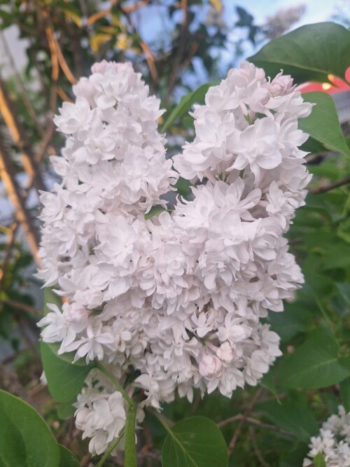 20260522_195301ee02f6e43c9ac38f.jpg