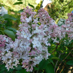 DSCN4280ec85a8ebcf4ac2cd