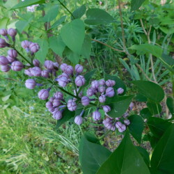 DSCN43194299d0af30951350