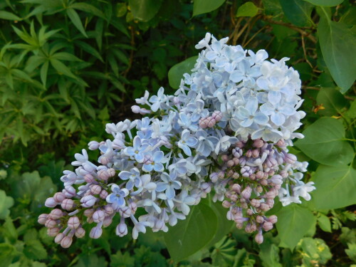 DSCN4340cc9b69b442394c58.jpg