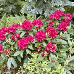 IMG_18107cbbb0272bb45e25