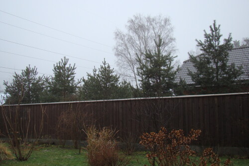 DSC00258