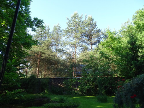 DSC00737