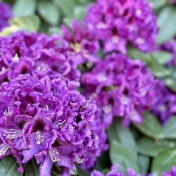 IMG_1939d3756ac029697522