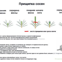 0fd92357fa009417bf2da2b86e0cb1b63f1bdca668946a87