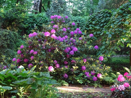 DSC007229144388a009d5fcb.jpg