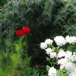 DSC00761f7bce379dd943aeb